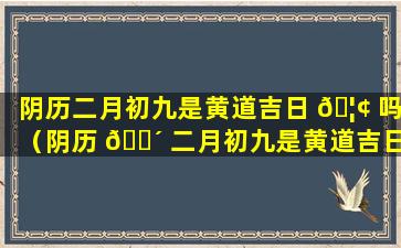 阴历二月初九是黄道吉日 🦢 吗（阴历 🌴 二月初九是黄道吉日吗2023年）